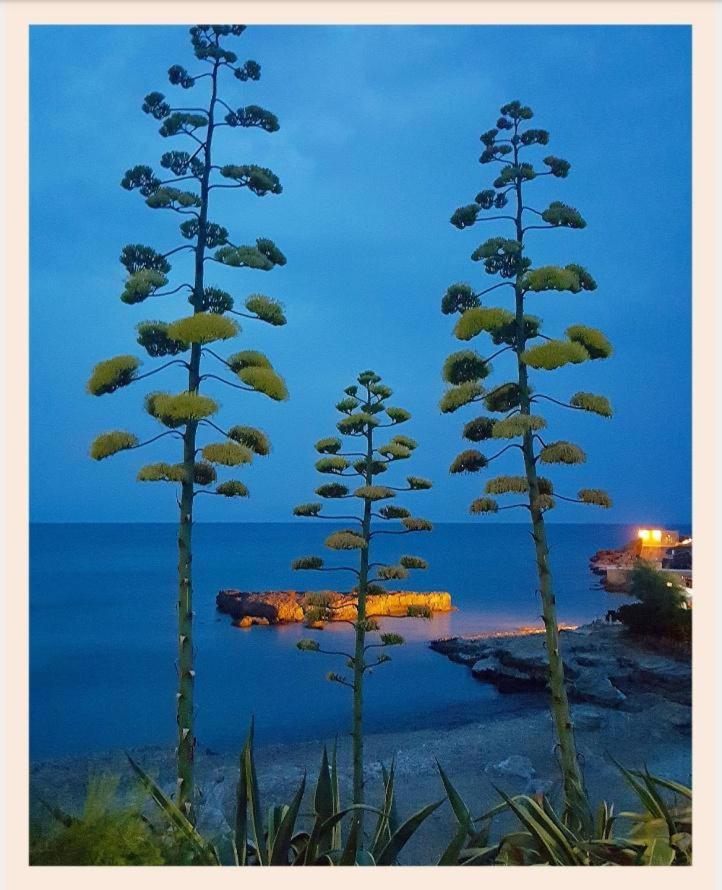 Villa La Rucchetta Alghero Exterior foto